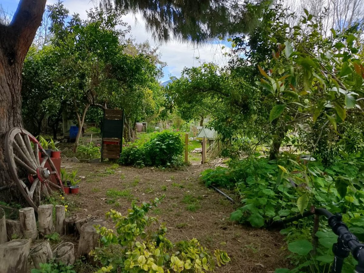 Αγρόκτημα Φοίφα: Μαθαίνοντας για την Περμακουλτούρα και  δημιουργώντας συμβιωτικά οικοσυστήματα και κοινότητες…