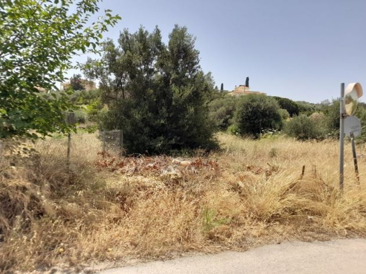 Ακαθάριστα οικόπεδα: Ποιοι κινδυνεύουν με 5.000€ πρόστιμο και ποινή φυλάκισης