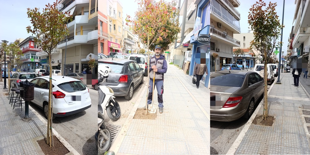 Αlexandroupoli-fitema-neon-dentron-se-1