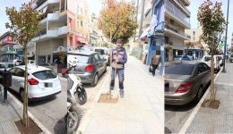 Αlexandroupoli-fitema-neon-dentron-se-2