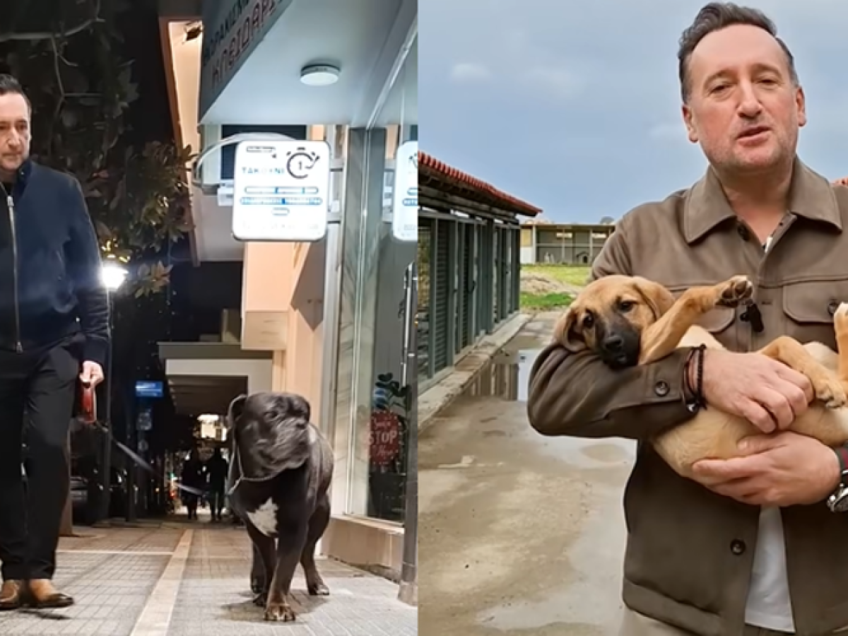 Αλεξανδρούπολη: Το ΒΙΝΤΕΟ-μήνυμα του δημάρχου Γιάννη Ζαμπούκη για την Παγκόσμια Ημέρα Αδέσποτων Ζώων