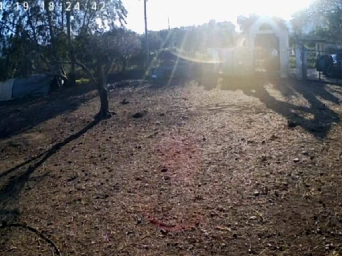 Αλυζία: Έκλεψαν εργαλεία από αυτοκίνητο παρκαρισμένο έξω από σπίτι στον κάμπο (video)