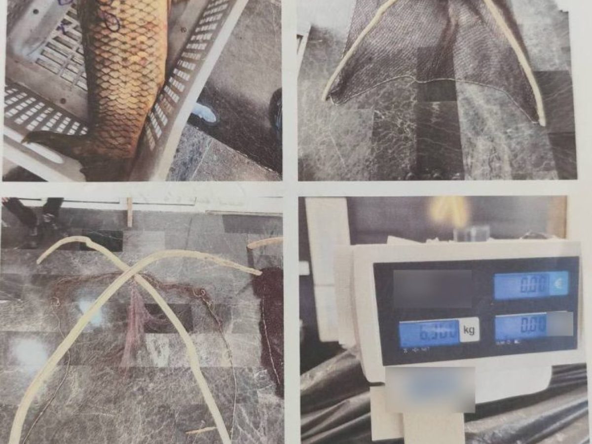 Αμύνταιο: Σύλληψη δύο ατόμων για παράνομη αλιεία στη Λίμνη Βεγορίτιδα