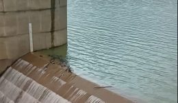 Αnagkea-i-anaptixi-michanismon-orthologikis-1