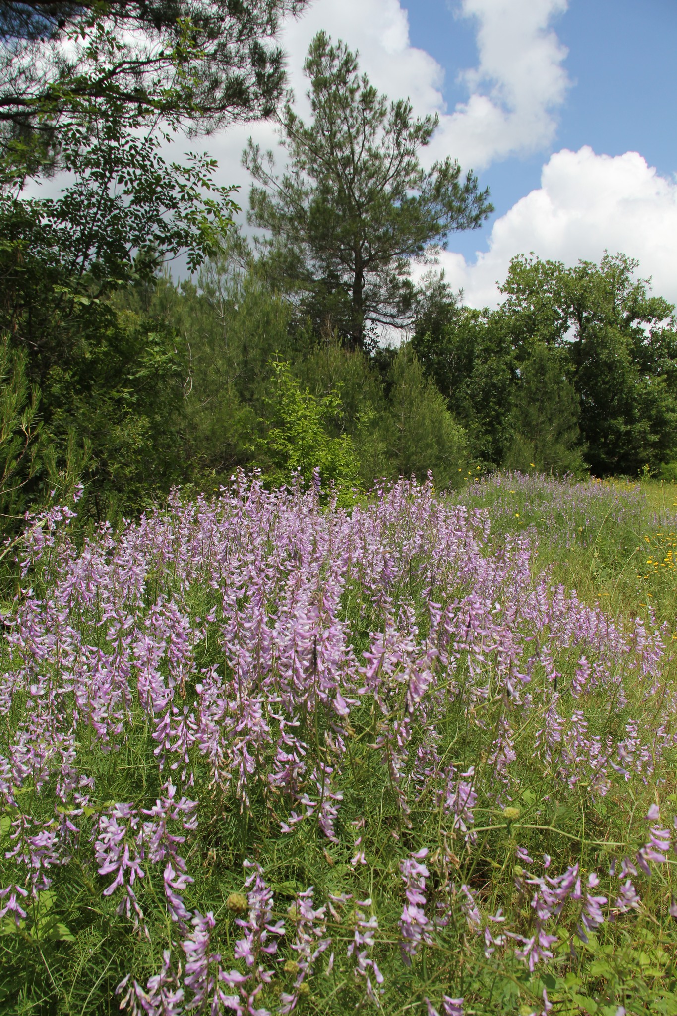 Αnakaliptontas-xana-ton-evro-tis-1