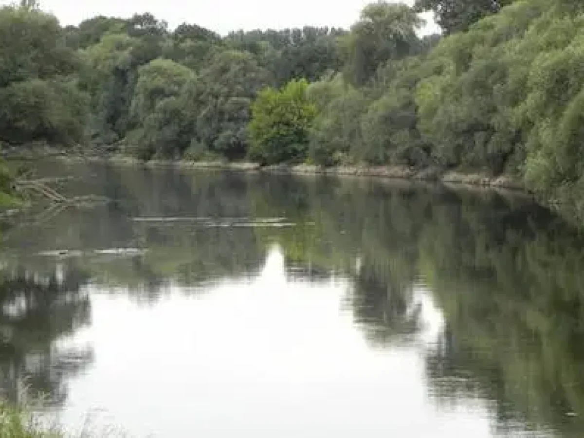 Ανακοίνωση σχετικά με την απαγόρευση ενάσκησης επαγγελματικής και ερασιτεχνικής αλιείας στους ποταμούς, παραποτάμους, χειμάρρους και λοιπά ρέοντα ύδατα της Περιφέρειας Κεντρικής Μακεδονίας για το έτος 2026