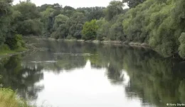 Αnakinosi-schetika-me-tin-apagorefsi