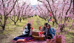 Αneveni-i-thermokrasia-anixiatiko-to