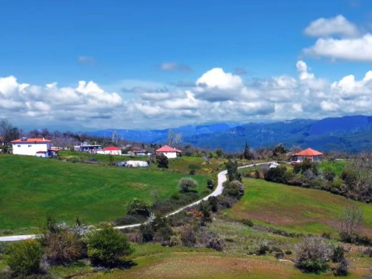 Ανοιξιάτικο Αμφιλοχίας: Αυτό είναι το νέο Διοικητικό Συμβούλιο του συλλόγου «Η Άνοιξη»