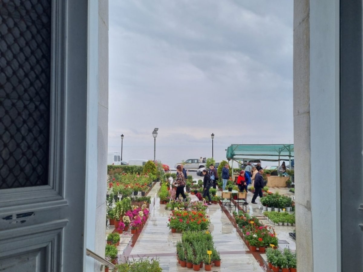 Ανθίζει ξανά το Γύθειο: Κάλεσμα συμμετοχής στη 14η «Γιορτή Άνοιξης»