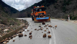 Αntimetopistikan-kataptosis-sto-odiko-diktio