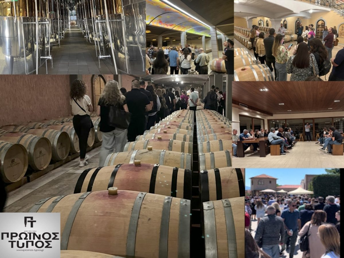 Αντίστροφη μέτρηση για τη μεγάλη γιορτή του οινοτουρισμού στη Δράμα -Από 17 έως 24 Μαΐου η 11η Δραμοινογνωσία