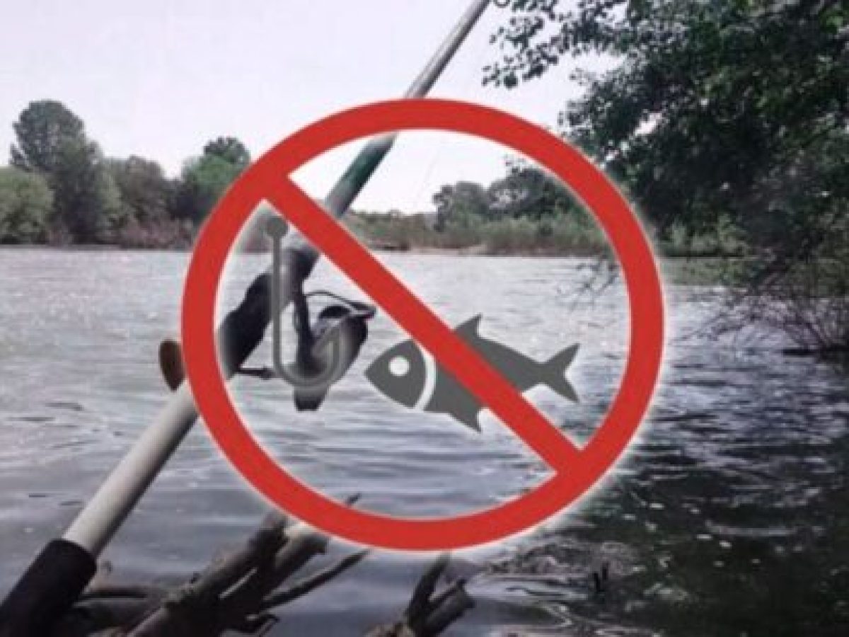 Απαγόρευση ενάσκησης αλιείας λόγω αναπαραγωγής των ψαριών