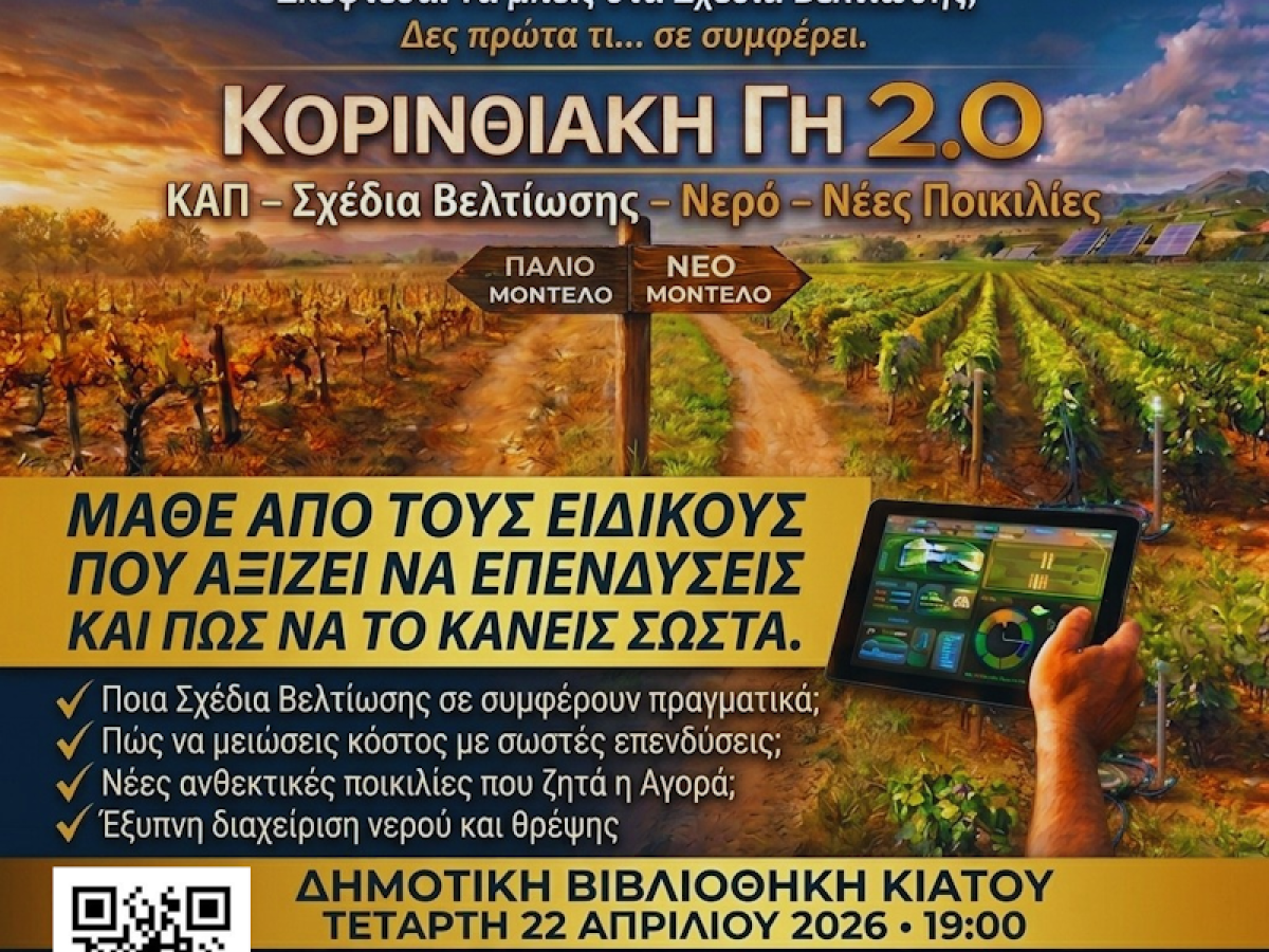 Από την ΚΑΠ στο αμπέλι του αύριο: Κρίσιμες απαντήσεις για τους παραγωγούς