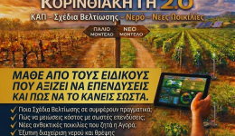 Αpo-tin-kΑp-sto-ampeli