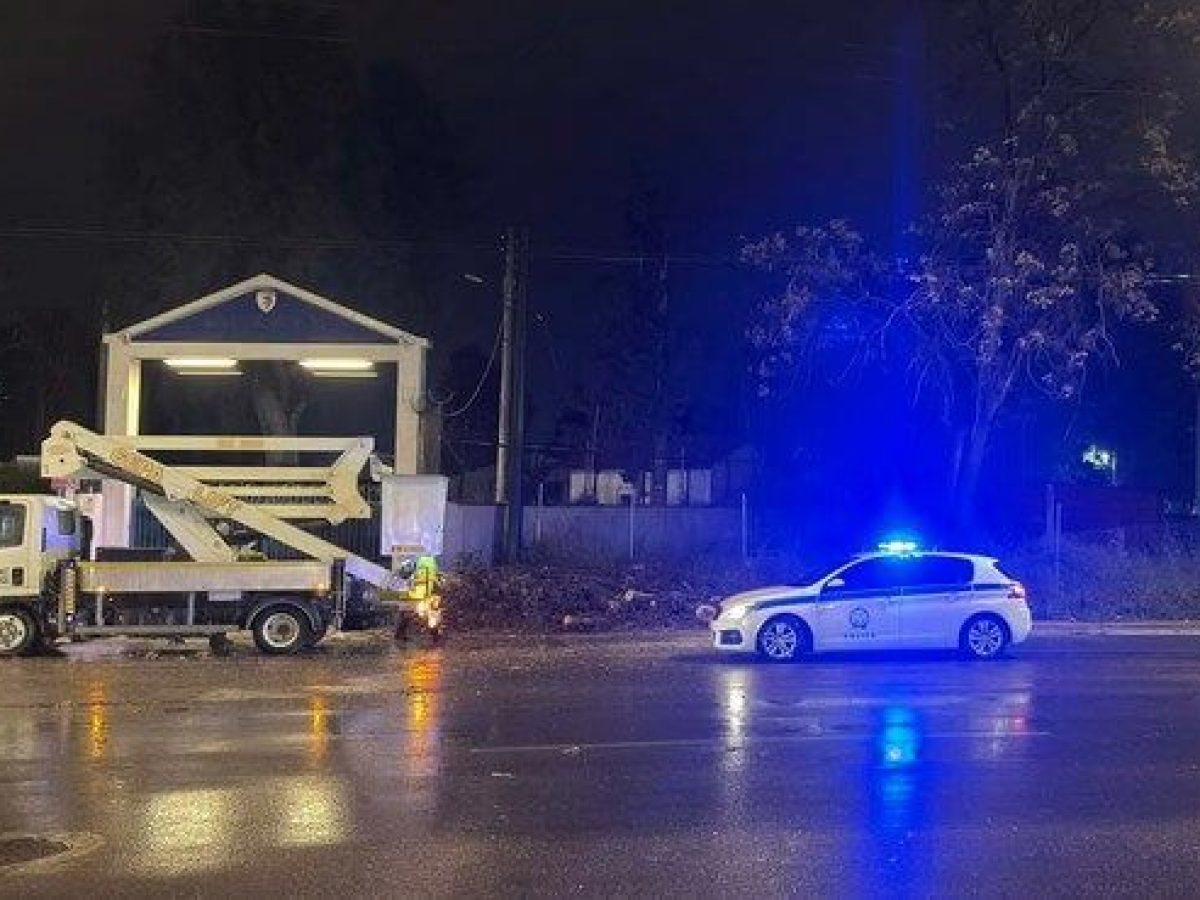 Αποκαταστάθηκε η κυκλοφορία στην οδό Πειραιώς μετά την πτώση δέντρου