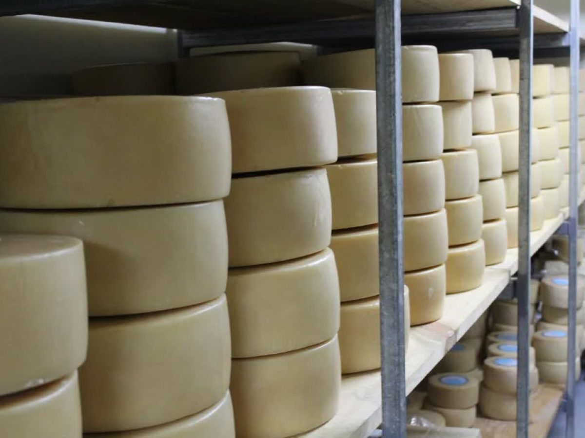 Αποζημιώσεις έως 8 εκατ. ευρώ για τυροκομικές επιχειρήσεις στη Λέσβο λόγω αφθώδους πυρετού