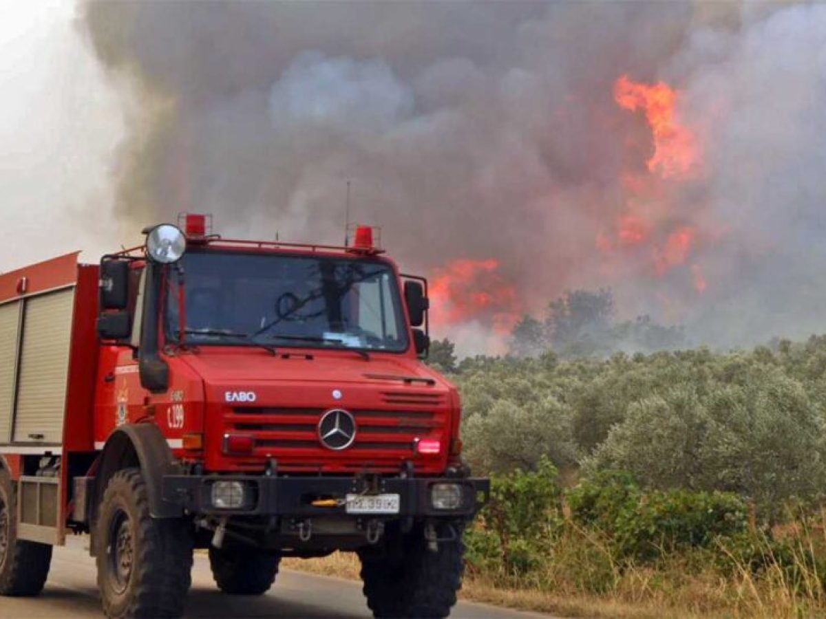 Αποζημιώσεις του 2023 περιμένουν ακόμη τα πυρόπληκτα χωριά Κυριάκι, Στείρι και Χώστια